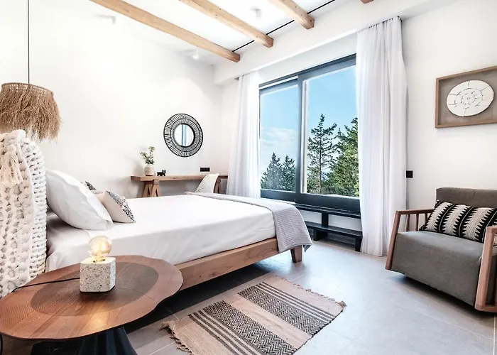 Luxury Terra Promessa - Paxos Villa